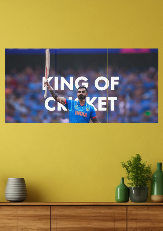 Virat Kohli Split Poster