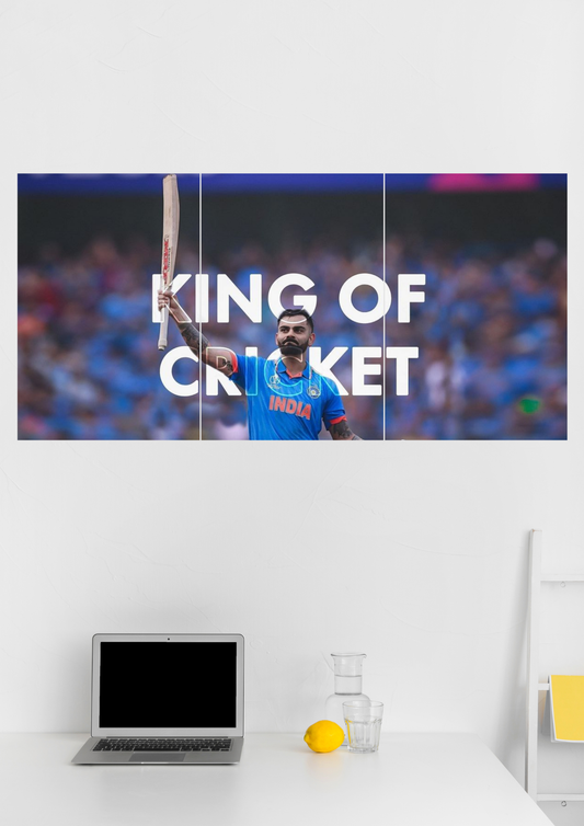 Virat Kohli Split Poster